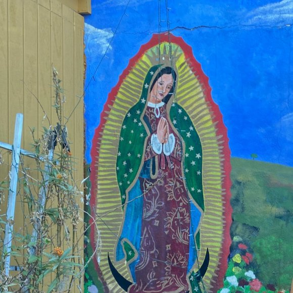 Meet your Posher, Raquel - Picture 1 of 1